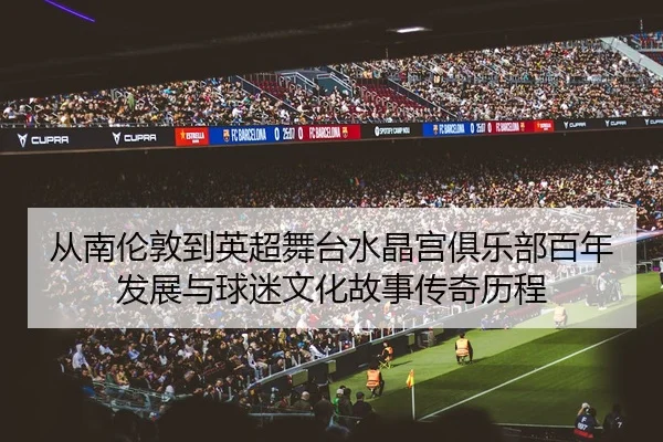 从南伦敦到英超舞台水晶宫俱乐部百年发展与球迷文化故事传奇历程