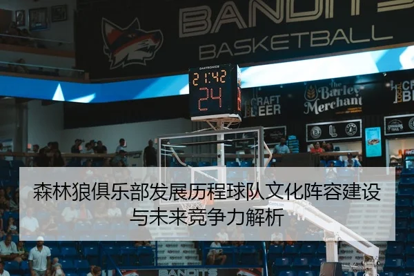 森林狼俱乐部发展历程球队文化阵容建设与未来竞争力解析
