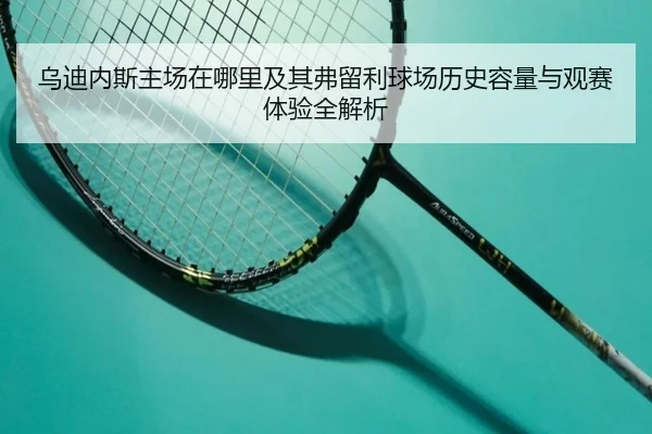 wu-di-nei-si-zhu-chang-zai-na-li-ji-qi-fu-liu-li-qiu-chang-li-shi-rong-liang-yu-guan-sai-ti-yan-quan-jie-xi-2-244.jpg