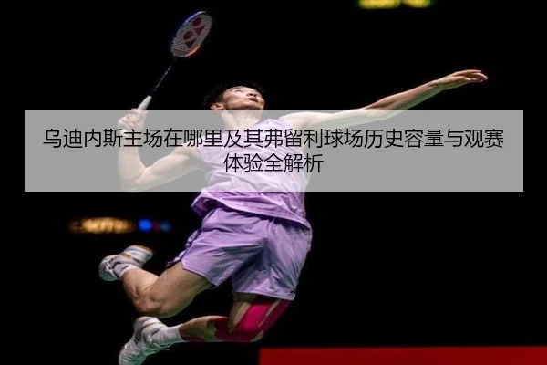 乌迪内斯主场在哪里及其弗留利球场历史容量与观赛体验全解析