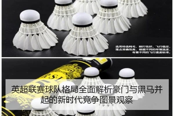 ying-chao-lian-sai-qiu-dui-ge-ju-quan-mian-jie-xi-hao-men-yu-hei-ma-bing-qi-de-xin-shi-dai-jing-zheng-tu-jing-guan-cha-2-160.jpg